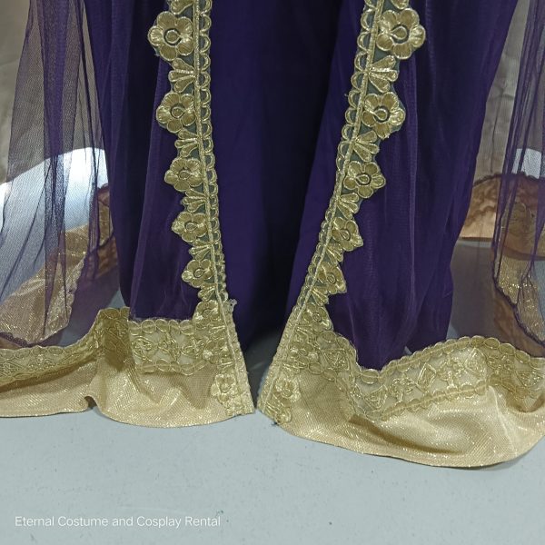 MIDDLE EAST Turkish/Egypt/Arabian Traditional Style Robe Female Purple Size UP TO XL for Rent - Image 5