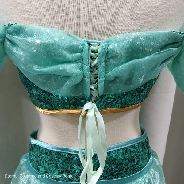 DISNEY Aladdin Carton (1992) Princess Jasmine Fantasy Royal Arabian Style Size M - L for Rent - Image 5