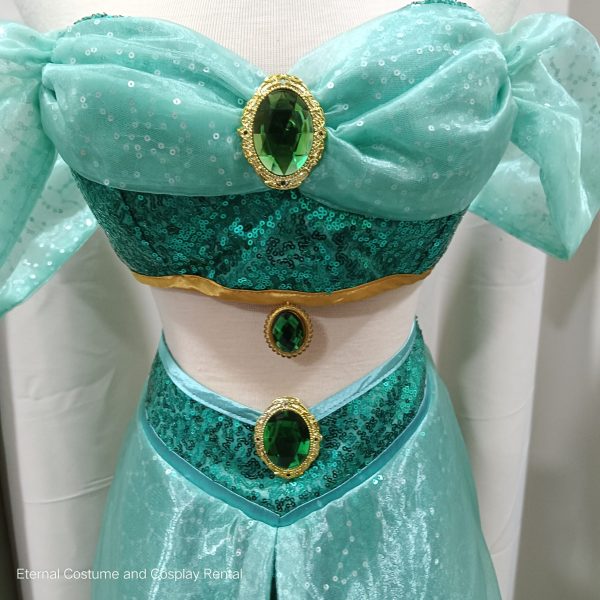 DISNEY Aladdin Carton (1992) Princess Jasmine Fantasy Royal Arabian Style Size M - L for Rent - Image 4