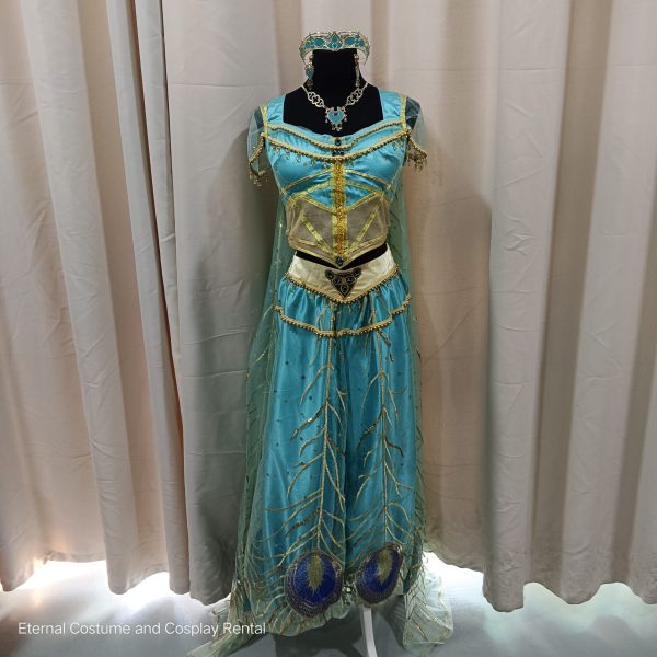 DISNEY Aladdin Movie (2019) Princess Jasmine Royal Naomi Scott Same Style Fantasy Costume Size M - XL for Rent