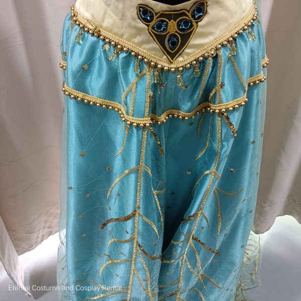 DISNEY Aladdin Movie (2019) Princess Jasmine Royal Naomi Scott Same Style Fantasy Costume Size M - XL for Rent - Image 5