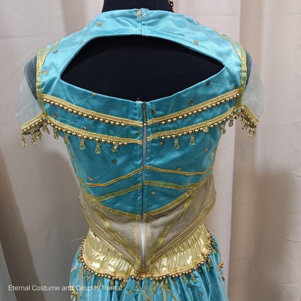 DISNEY Aladdin Movie (2019) Princess Jasmine Royal Naomi Scott Same Style Fantasy Costume Size M - XL for Rent - Image 4