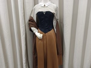 DISNEY Cartoon Fairy Tale Fantasy Sleeping Beauty Briar Rose Princess Aurora Village Girl Female Size XS - S for Rent
